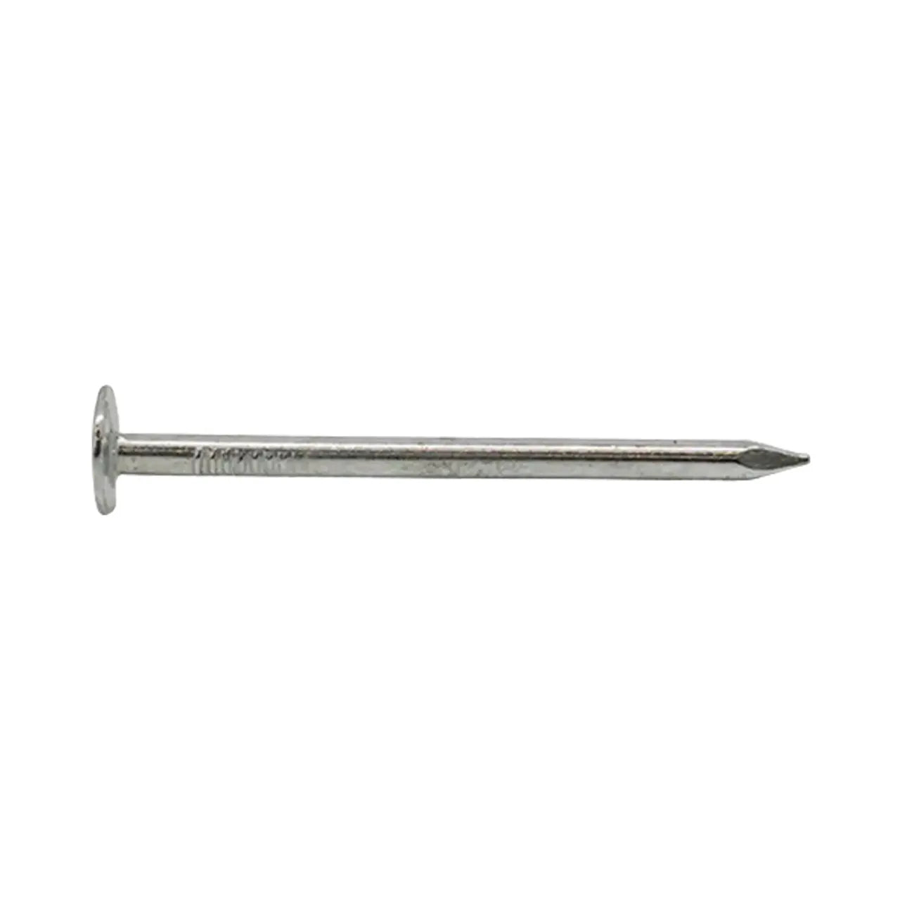 A 2 in. Electro-Galvanized Metal Roofing Nail by Go Build, The Fastest Way To Build, is displayed horizontally with a flat round head and pointed tip on a plain white background. (Sold as 5 lbs/Pack.).